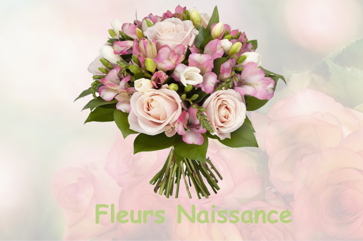 fleurs naissance AIRE-SUR-L-ADOUR