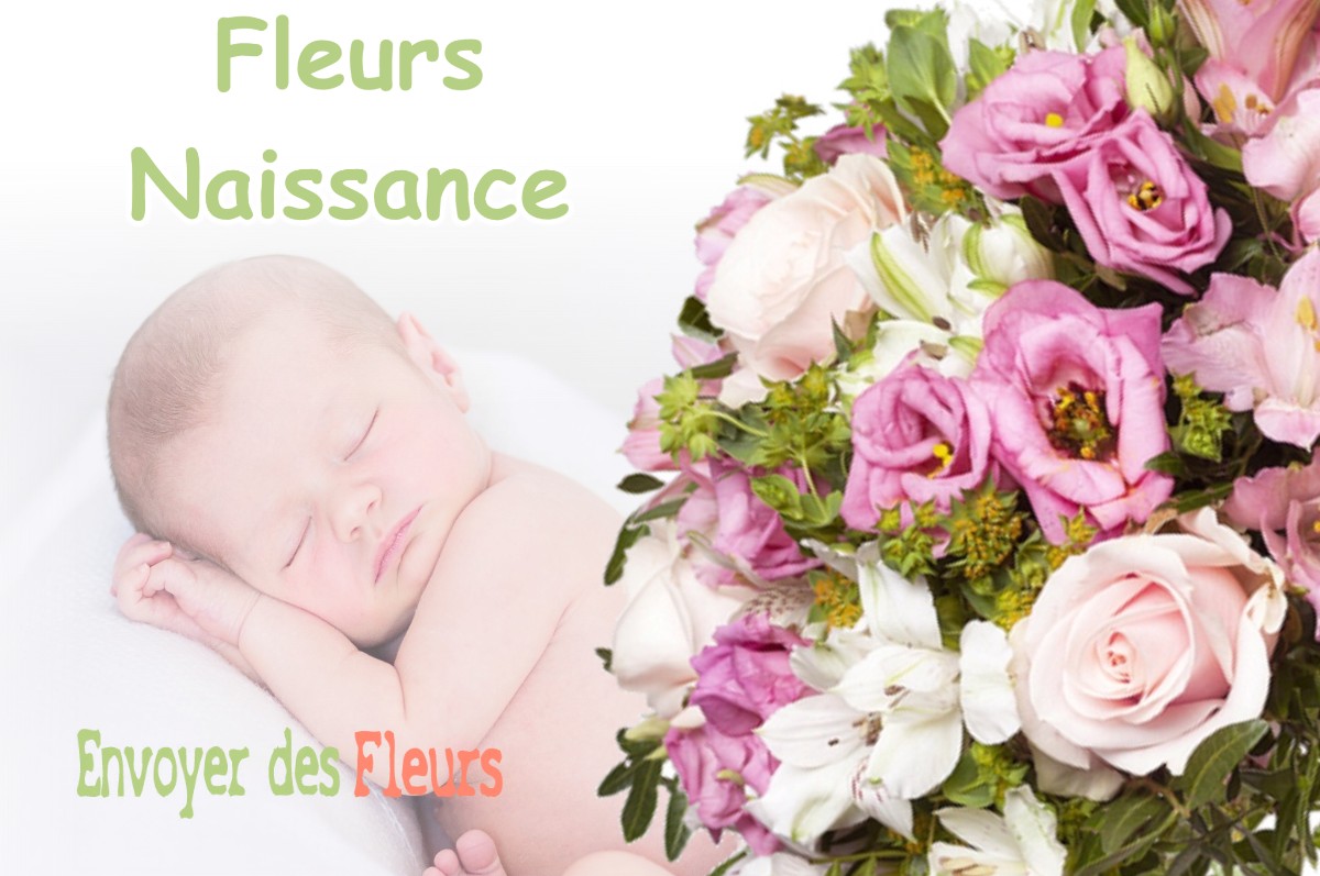 lIVRAISON FLEURS NAISSANCE à AIRE-SUR-L-ADOUR